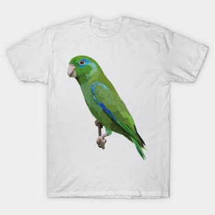 Spectacled Parrot T-Shirt